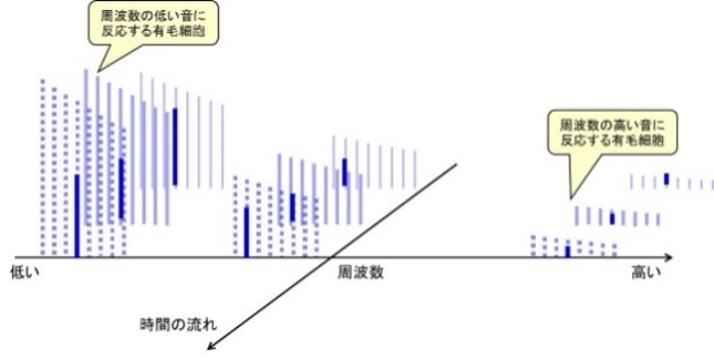 image-20250506105713994.png