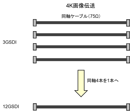 image-20250506122758740.png